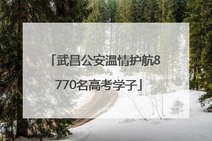 武昌公安温情护航8770名高考学子