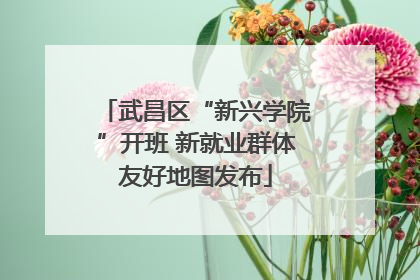 武昌区“新兴学院”开班 新就业群体友好地图发布
