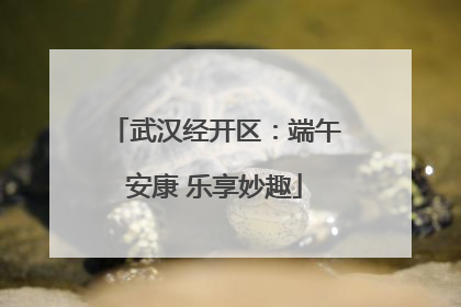 武汉经开区：端午安康 乐享妙趣