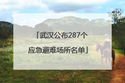 武汉公布287个应急避难场所名单