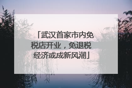 武汉首家市内免税店开业，免退税经济或成新风潮
