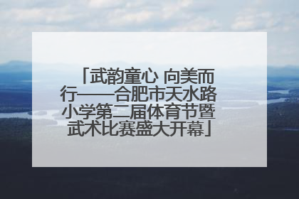 武韵童心 向美而行——合肥市天水路小学第二届体育节暨武术比赛盛大开幕