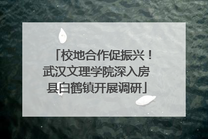 校地合作促振兴！武汉文理学院深入房县白鹤镇开展调研