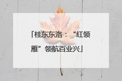 桂东东洛：“红领雁”领航百业兴