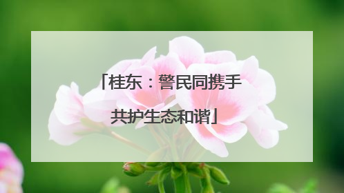 桂东：警民同携手 共护生态和谐