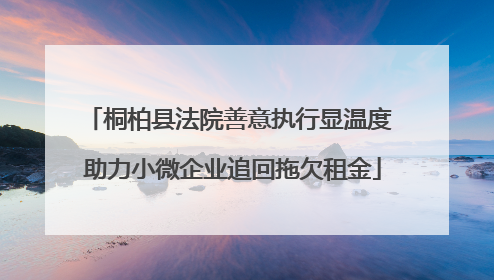 桐柏县法院善意执行显温度 助力小微企业追回拖欠租金