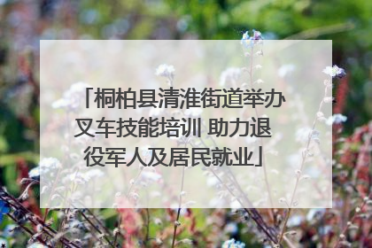 桐柏县清淮街道举办叉车技能培训 助力退役军人及居民就业