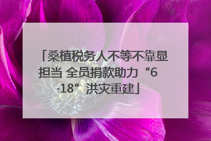 桑植税务人不等不靠显担当 全员捐款助力“6·18”洪灾重建