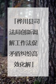 桦川县司法局创新调解工作法促矛盾纠纷高效化解