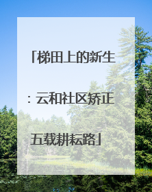梯田上的新生：云和社区矫正五载耕耘路