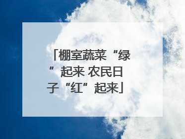 棚室蔬菜“绿”起来 农民日子“红”起来