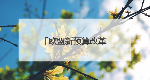 欧盟新预算改革面临多重制约