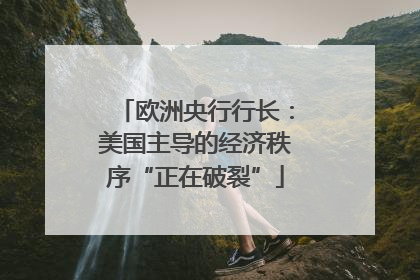 欧洲央行行长：美国主导的经济秩序“正在破裂”