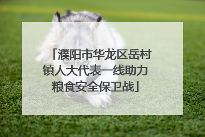 濮阳市华龙区岳村镇人大代表一线助力粮食安全保卫战