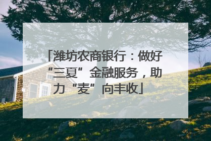 潍坊农商银行：做好“三夏”金融服务，助力“麦”向丰收