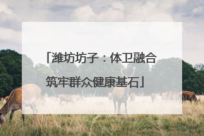潍坊坊子：体卫融合筑牢群众健康基石