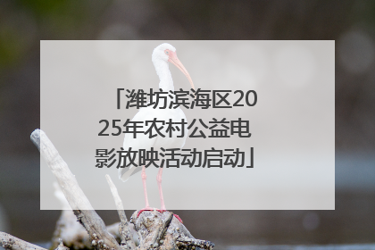 潍坊滨海区2025年农村公益电影放映活动启动