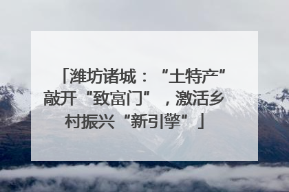 潍坊诸城：“土特产”敲开“致富门”，激活乡村振兴“新引擎”