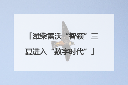 潍柴雷沃“智领”三夏进入“数字时代”
