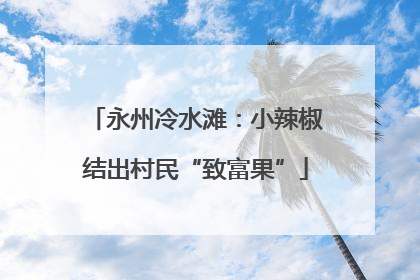 永州冷水滩：小辣椒结出村民“致富果”