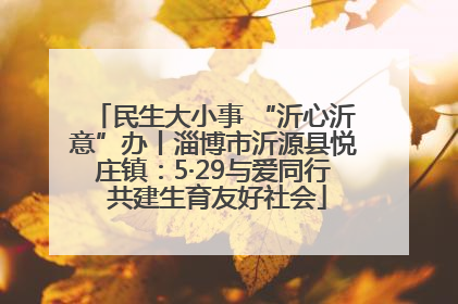 民生大小事 “沂心沂意”办丨淄博市沂源县悦庄镇：5·29与爱同行 共建生育友好社会