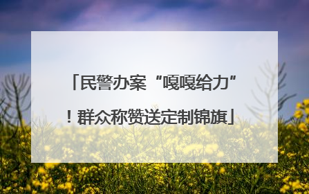 民警办案“嘎嘎给力”！群众称赞送定制锦旗
