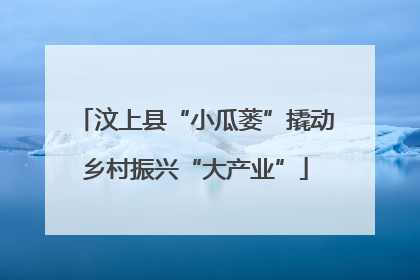 汶上县“小瓜蒌”撬动乡村振兴“大产业”