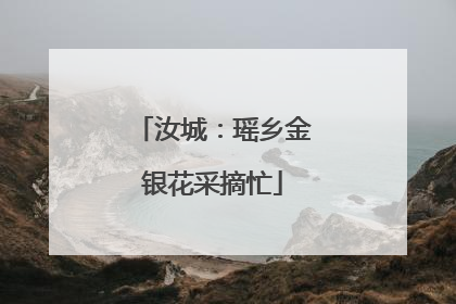 汝城：瑶乡金银花采摘忙