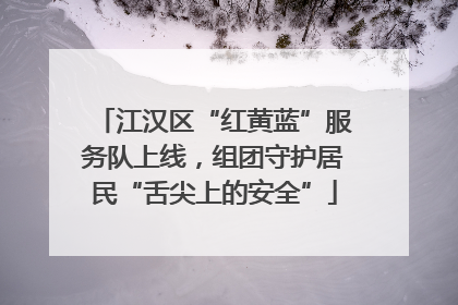 江汉区“红黄蓝”服务队上线，组团守护居民“舌尖上的安全”