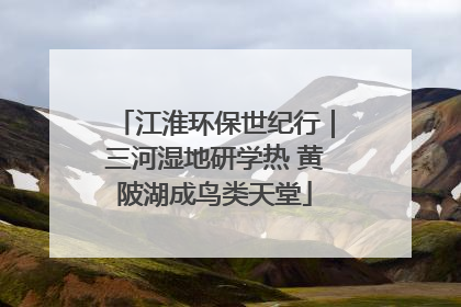 江淮环保世纪行｜三河湿地研学热 黄陂湖成鸟类天堂