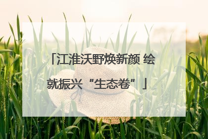 江淮沃野焕新颜 绘就振兴“生态卷”