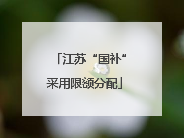 江苏“国补”采用限额分配