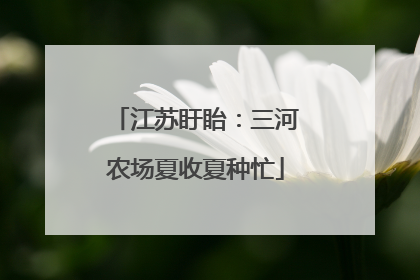 江苏盱眙：三河农场夏收夏种忙