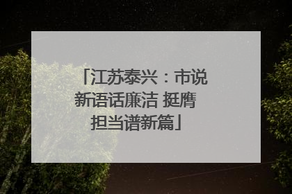 江苏泰兴：市说新语话廉洁 挺膺担当谱新篇