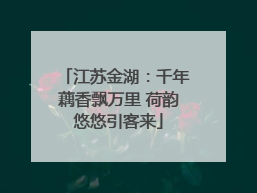 江苏金湖：千年藕香飘万里 荷韵悠悠引客来