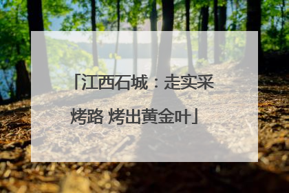 江西石城：走实采烤路 烤出黄金叶