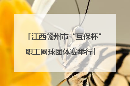 江西赣州市“互保杯”职工网球团体赛举行