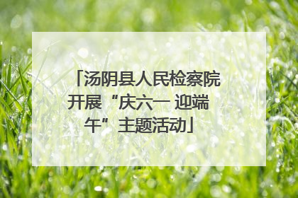 汤阴县人民检察院开展“庆六一 迎端午”主题活动