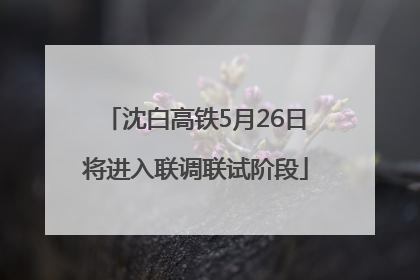 沈白高铁5月26日将进入联调联试阶段