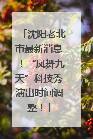 沈阳老北市最新消息！“凤舞九天”科技秀演出时间调整！