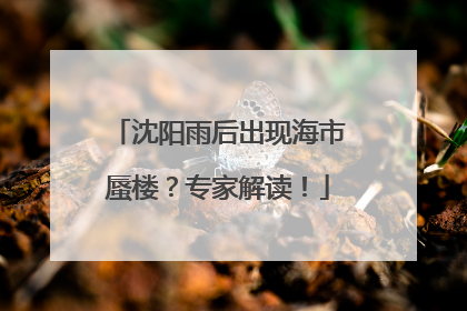 沈阳雨后出现海市蜃楼？专家解读！