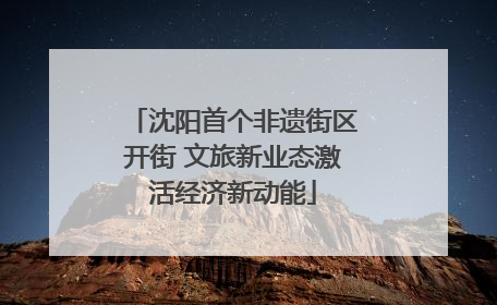 沈阳首个非遗街区开街 文旅新业态激活经济新动能