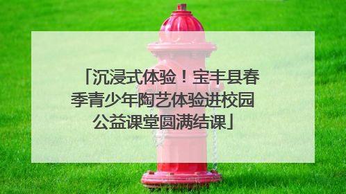 沉浸式体验！宝丰县春季青少年陶艺体验进校园公益课堂圆满结课