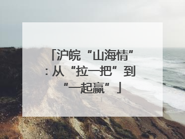 沪皖“山海情”：从“拉一把”到“一起赢”