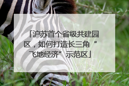 沪苏首个省级共建园区，如何打造长三角“飞地经济”示范区