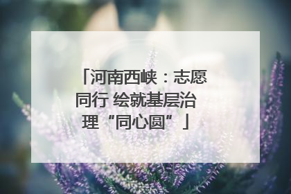 河南西峡：志愿同行 绘就基层治理“同心圆”