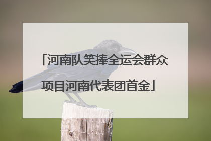 河南队笑捧全运会群众项目河南代表团首金