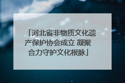 河北省非物质文化遗产保护协会成立 凝聚合力守护文化根脉