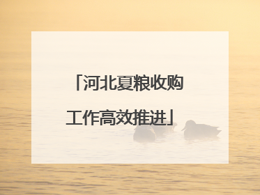 河北夏粮收购工作高效推进
