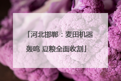 河北邯郸：麦田机器轰鸣 夏粮全面收割